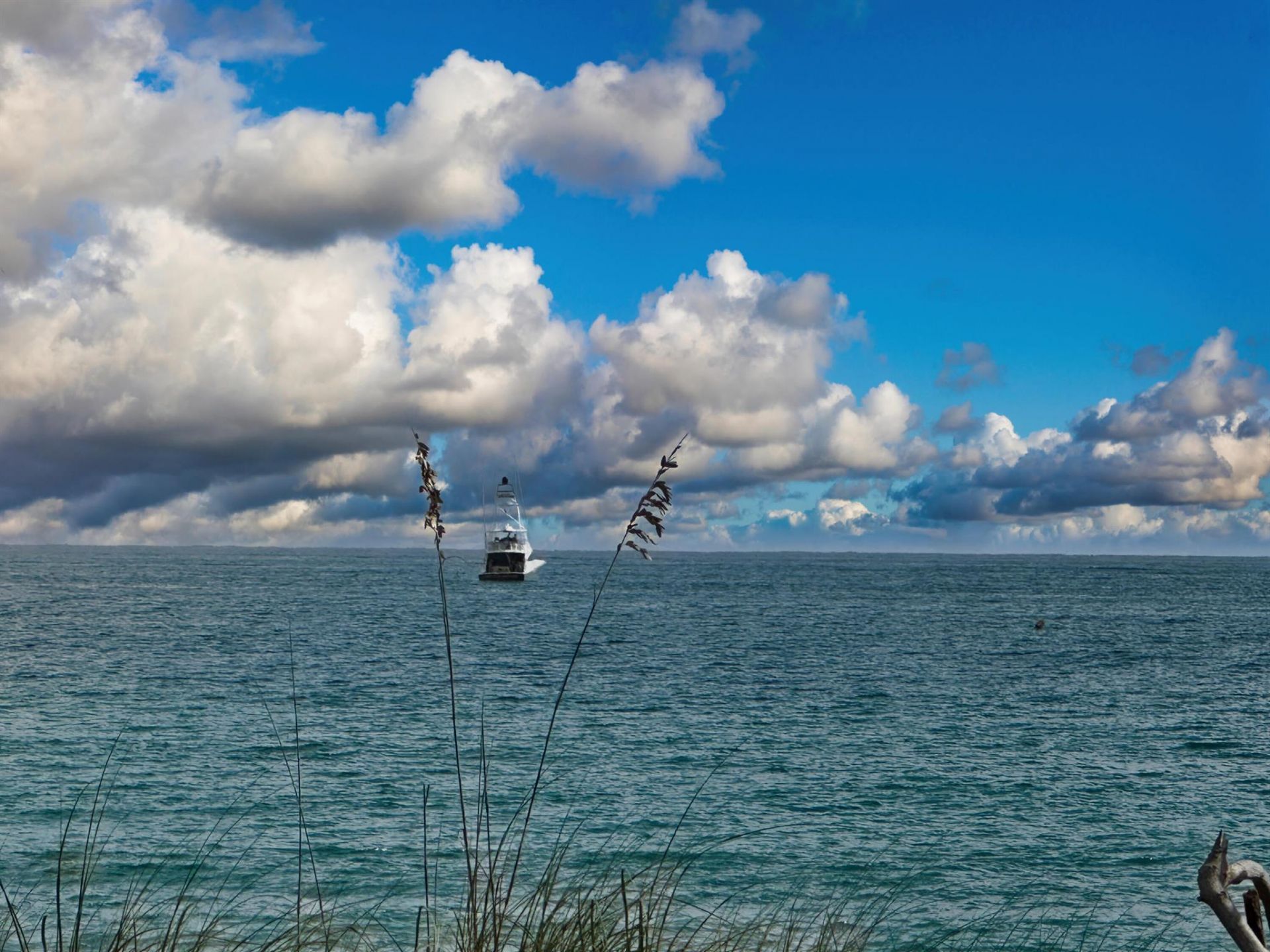 4200 N Surf Road, Hollywood, FL 33019 Photo