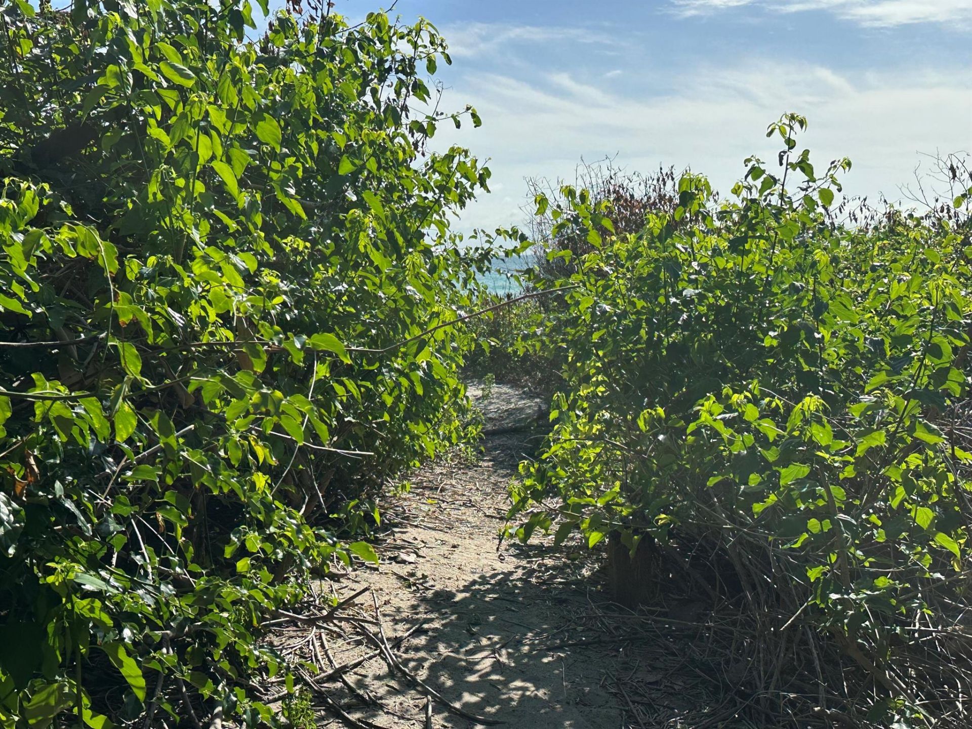 4200 N Surf Road, Hollywood, FL 33019 Photo