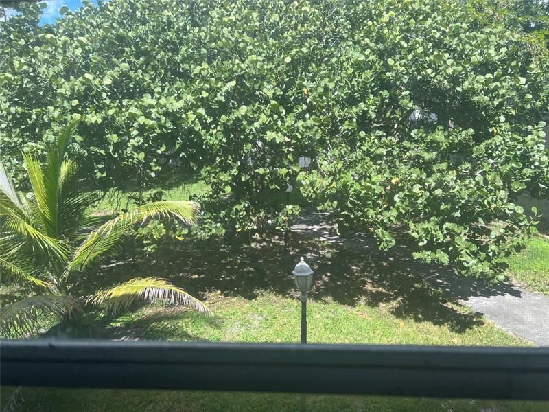 7400 NW 17th Street, Unit 205, Plantation, FL 33313 Photo