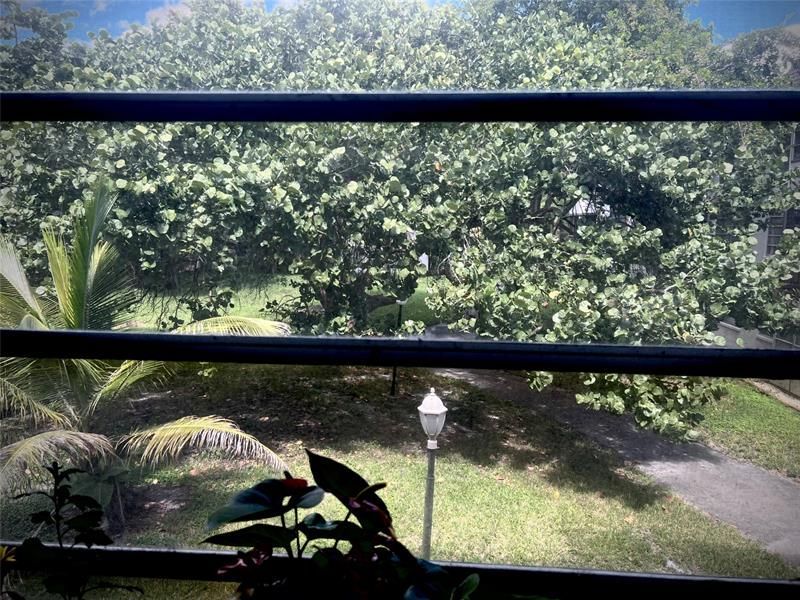 7400 NW 17th Street, Unit 205, Plantation, FL 33313 Photo