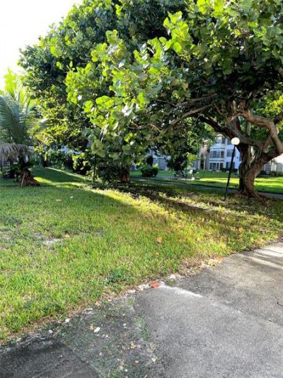 7400 NW 17th Street, Unit 205, Plantation, FL 33313 Photo