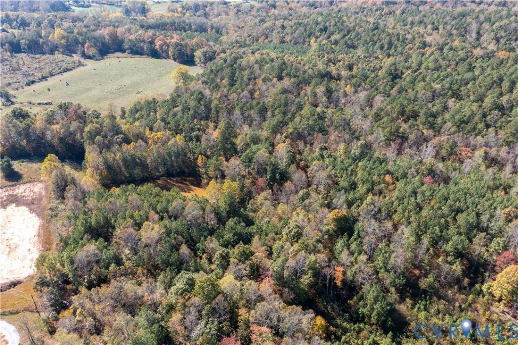 11.34 Acres Scotts Bottom Road, Dillwyn, VA 23004 Main Photo