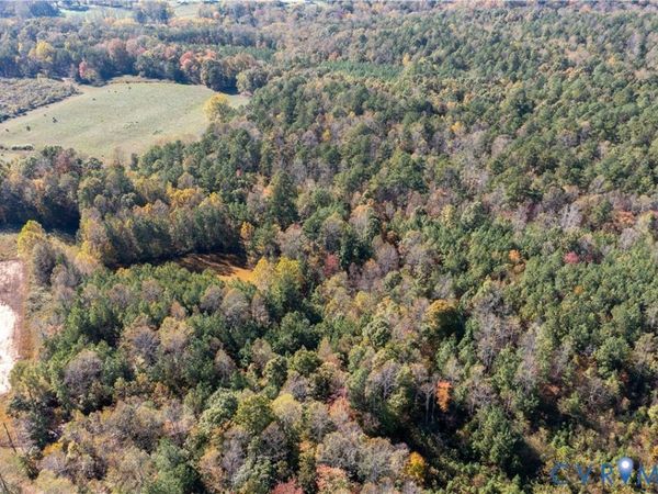 11.34 Acres Scotts Bottom Road, Dillwyn, VA 23004