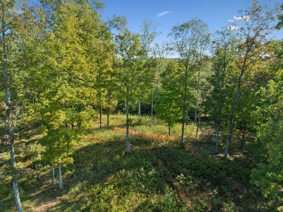 Property Image 46