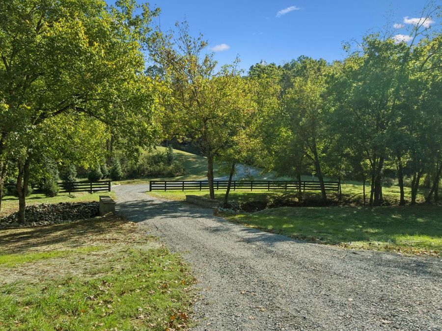 Property Image 61