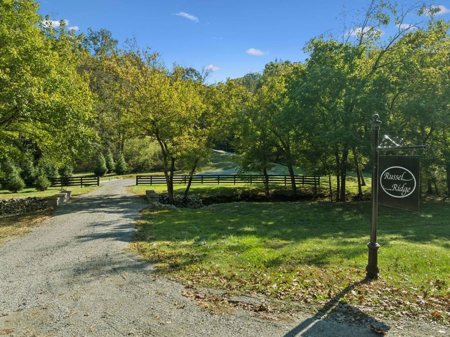 Property Image 63