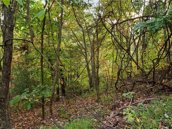 Lot 16 Little Ivy Lane , Deep Gap, NC 28618