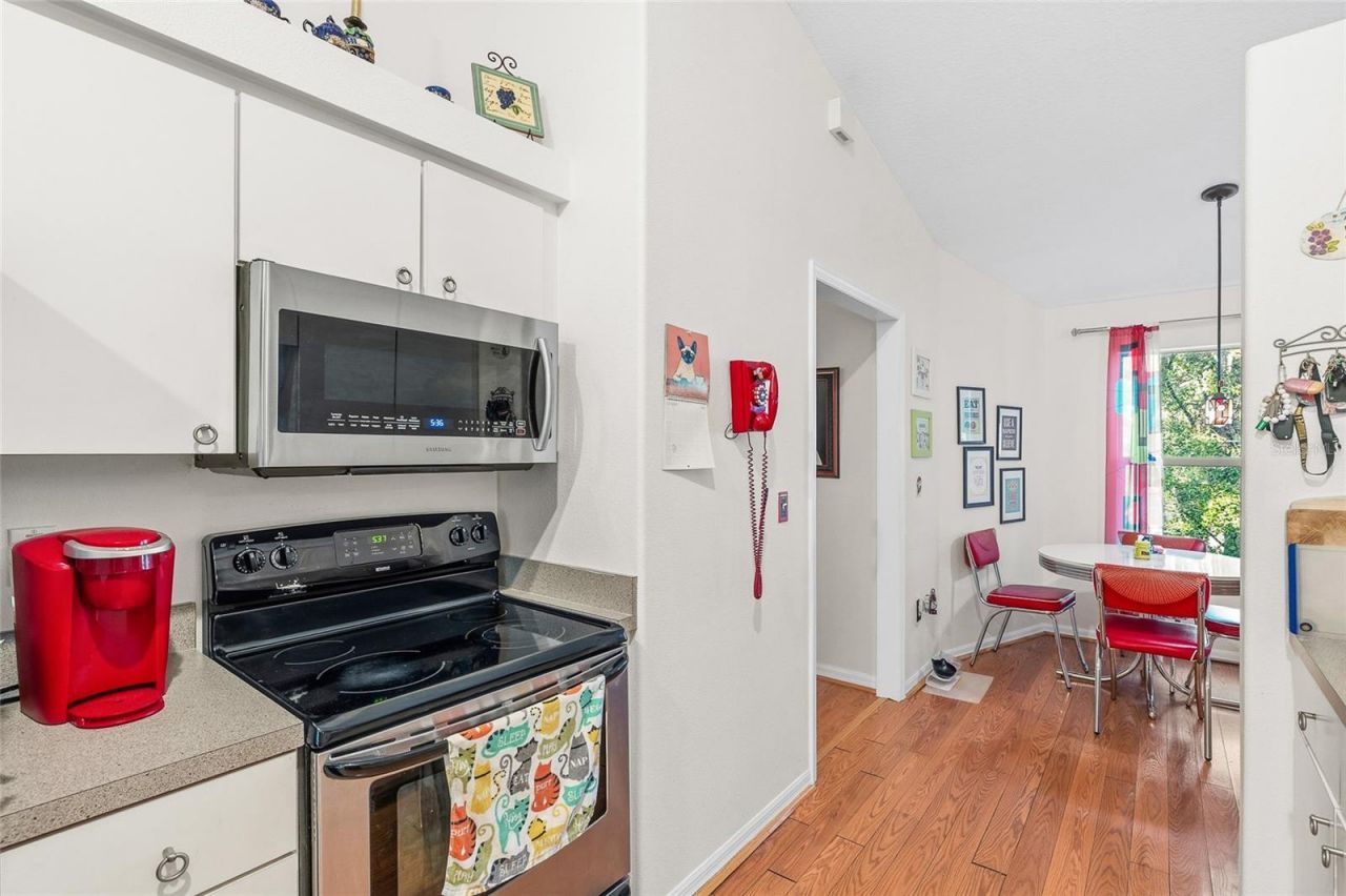 24437 Painter Drive, Land O Lakes, FL 34639 Photo