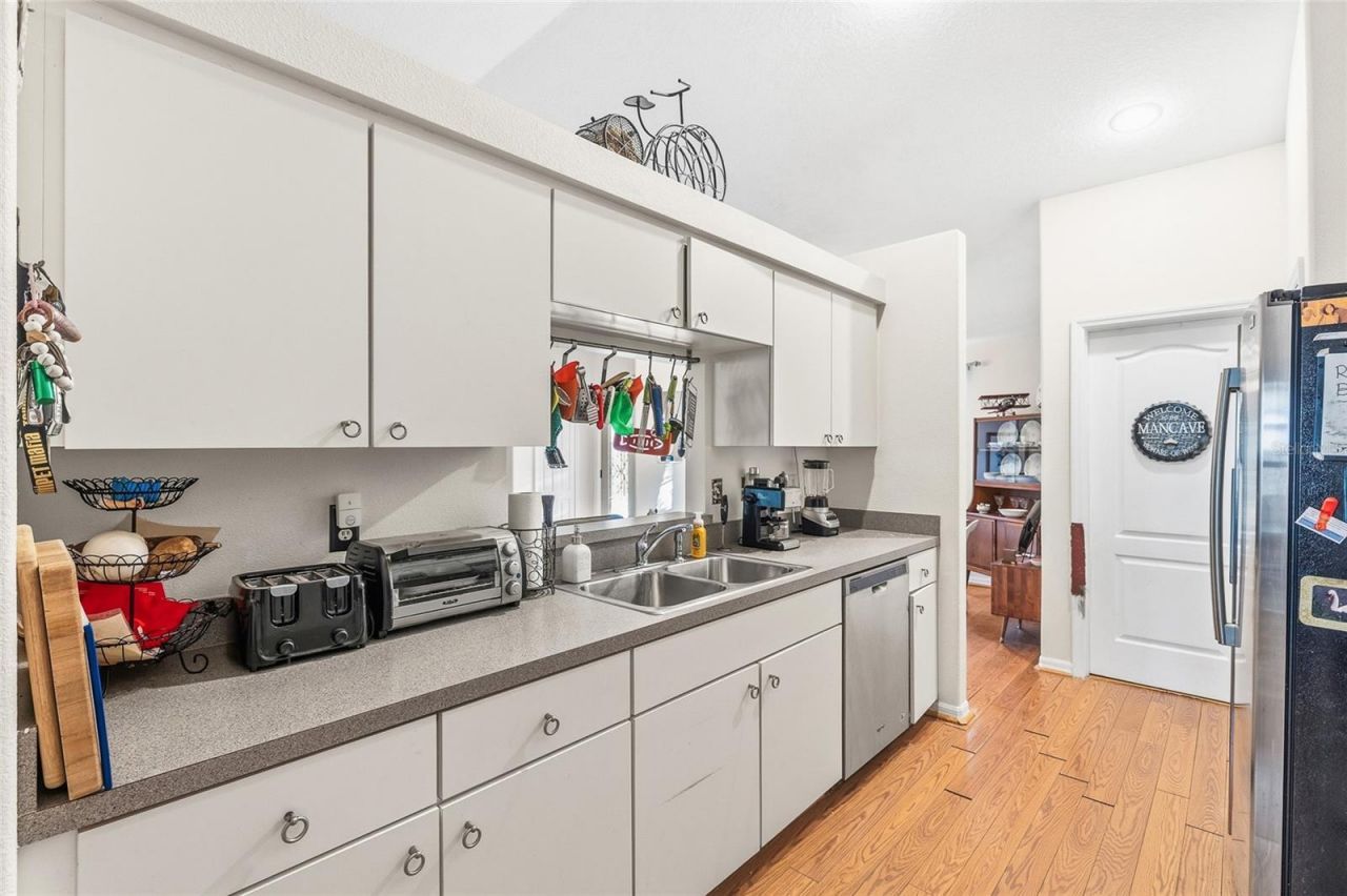 24437 Painter Drive, Land O Lakes, FL 34639 Photo