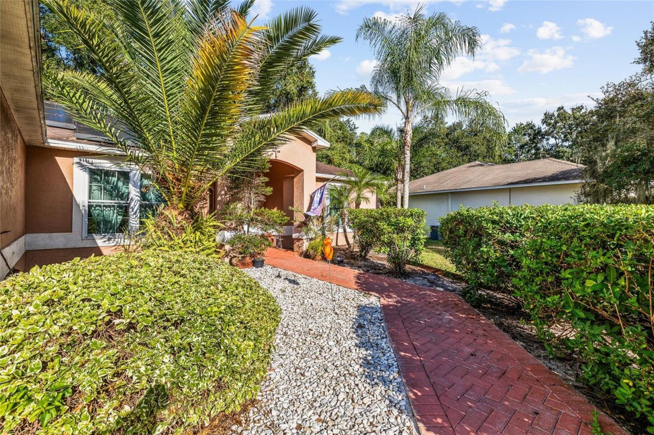 24437 Painter Drive, Land O Lakes, FL 34639 Photo