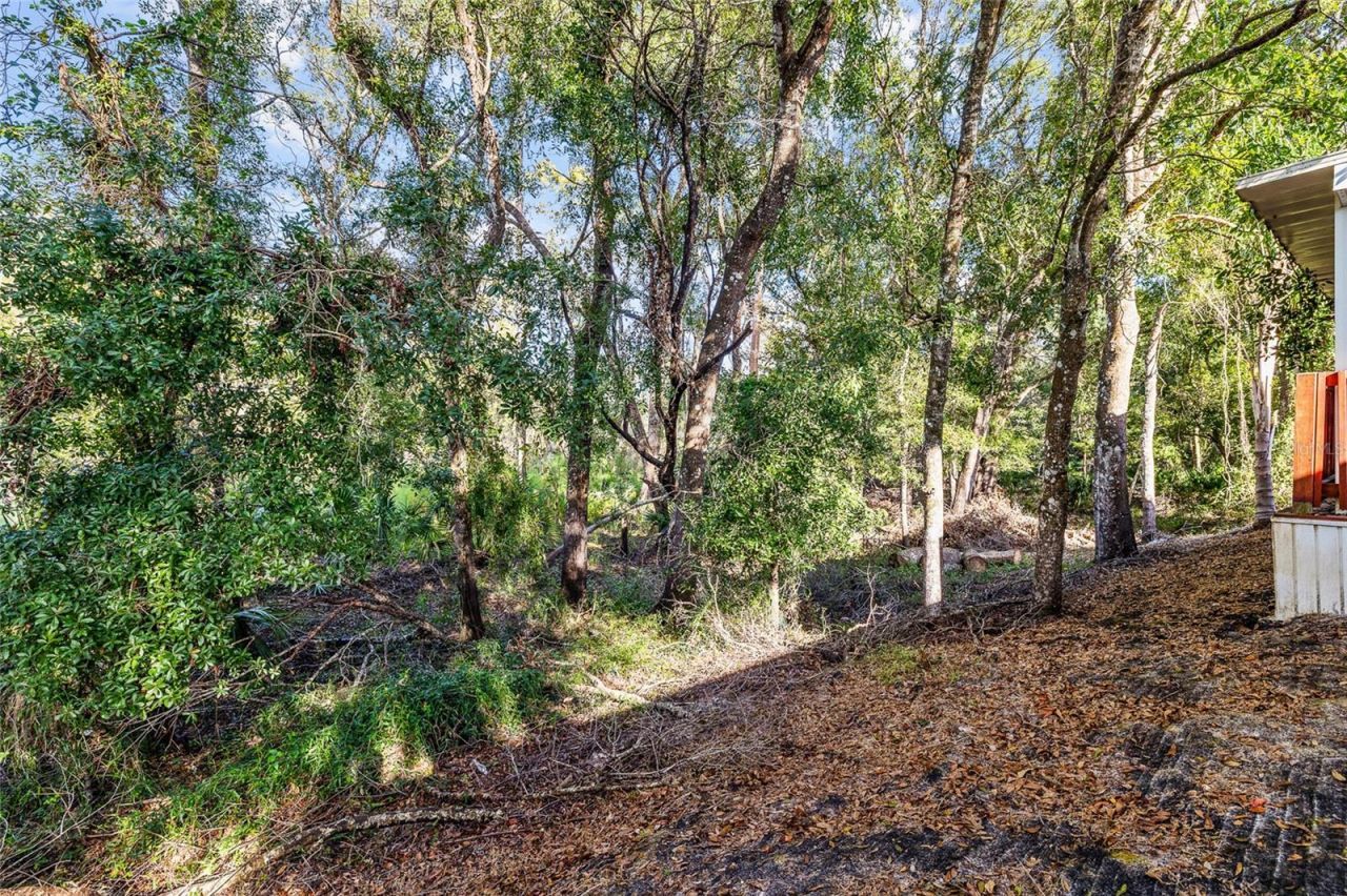 24437 Painter Drive, Land O Lakes, FL 34639 Photo