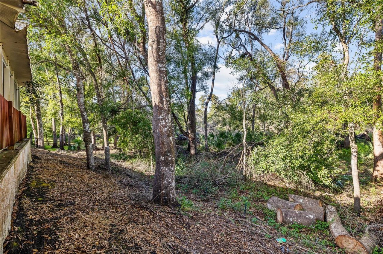 24437 Painter Drive, Land O Lakes, FL 34639 Photo