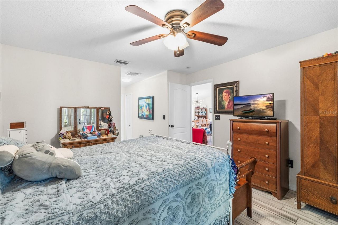 24437 Painter Drive, Land O Lakes, FL 34639 Photo