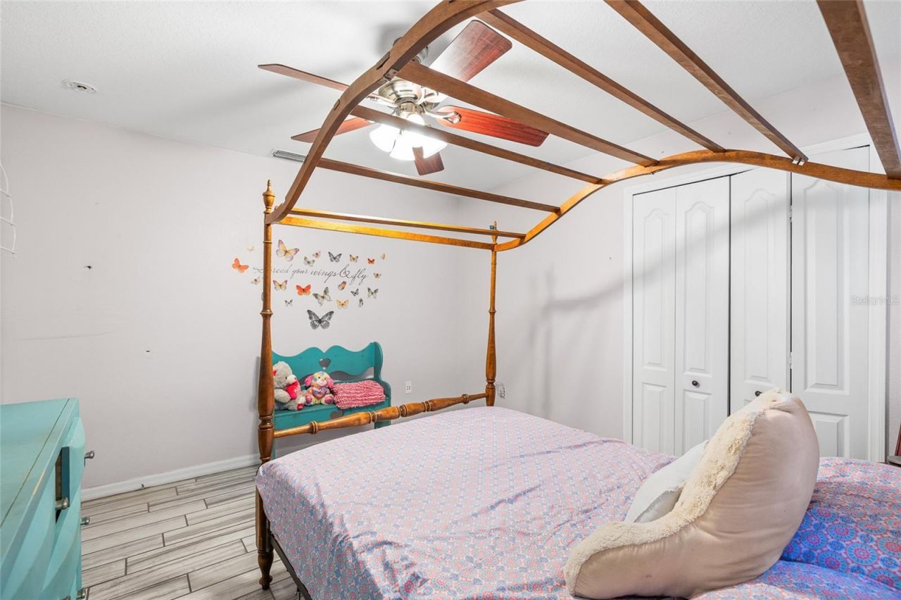 24437 Painter Drive, Land O Lakes, FL 34639 Photo