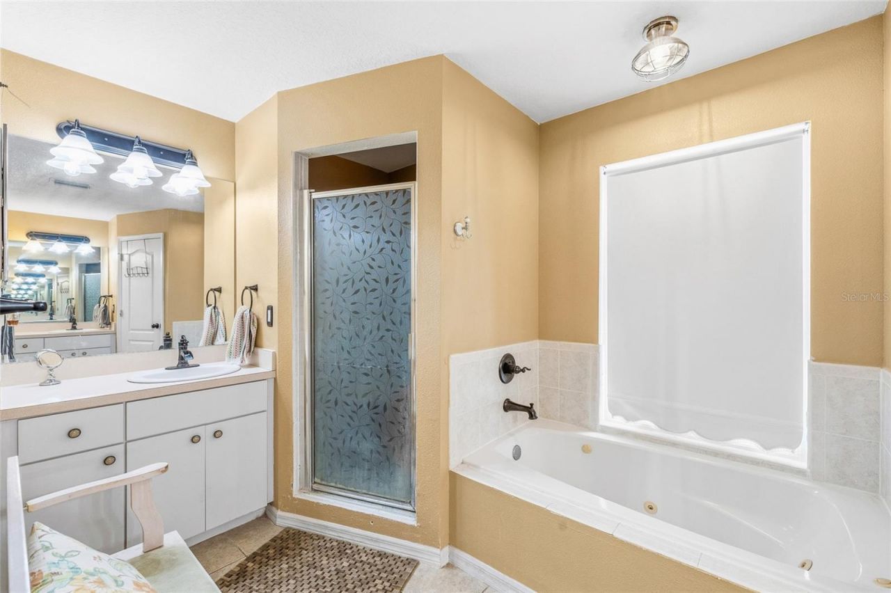 24437 Painter Drive, Land O Lakes, FL 34639 Photo