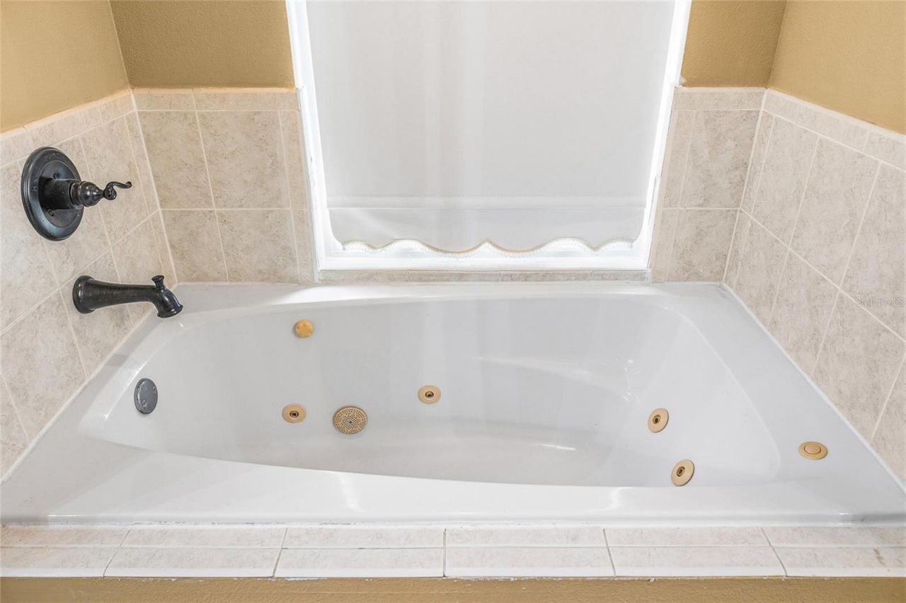 24437 Painter Drive, Land O Lakes, FL 34639 Photo