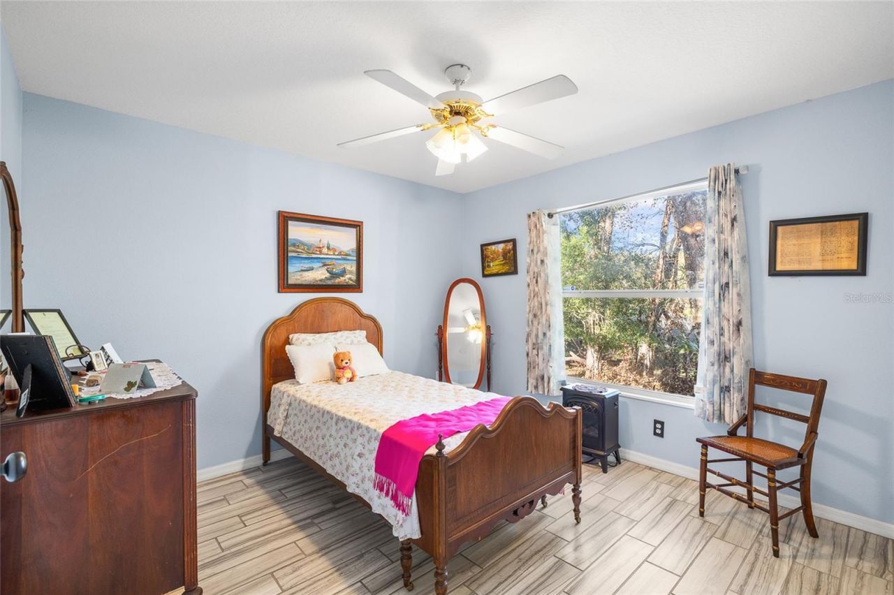 24437 Painter Drive, Land O Lakes, FL 34639 Photo