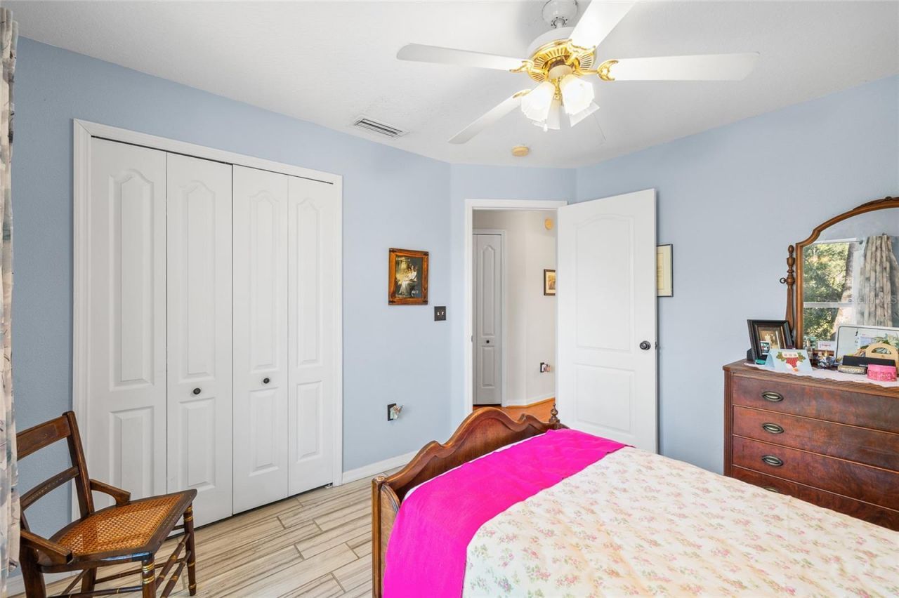 24437 Painter Drive, Land O Lakes, FL 34639 Photo