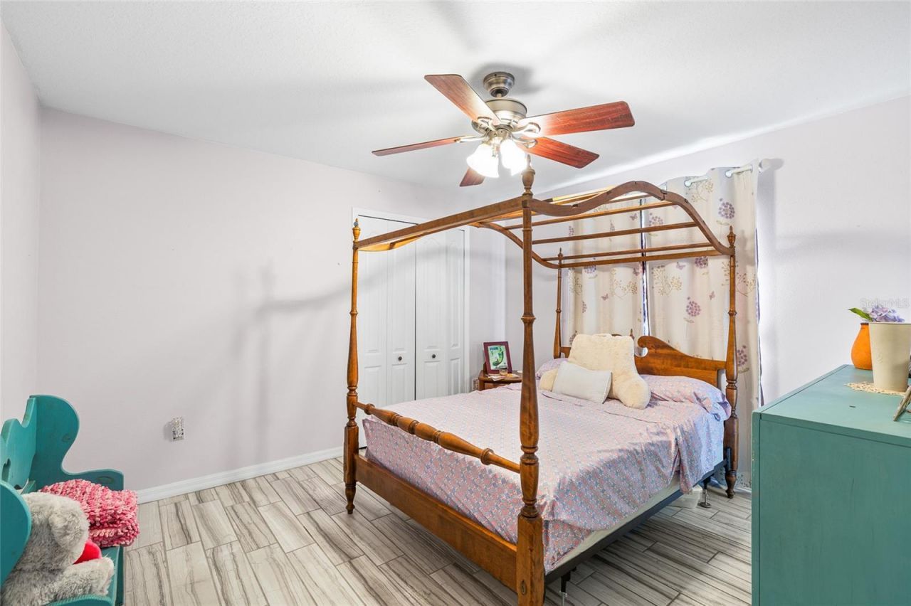 24437 Painter Drive, Land O Lakes, FL 34639 Photo