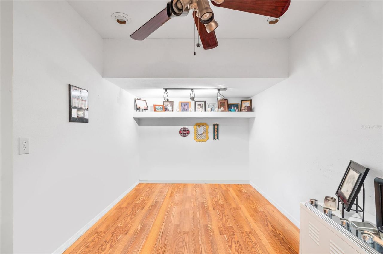 24437 Painter Drive, Land O Lakes, FL 34639 Photo