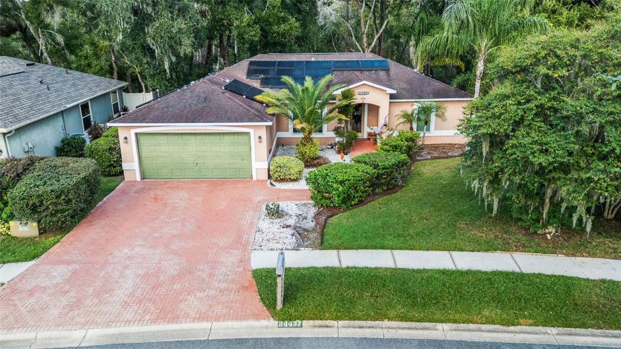 24437 Painter Drive, Land O Lakes, FL 34639 Photo