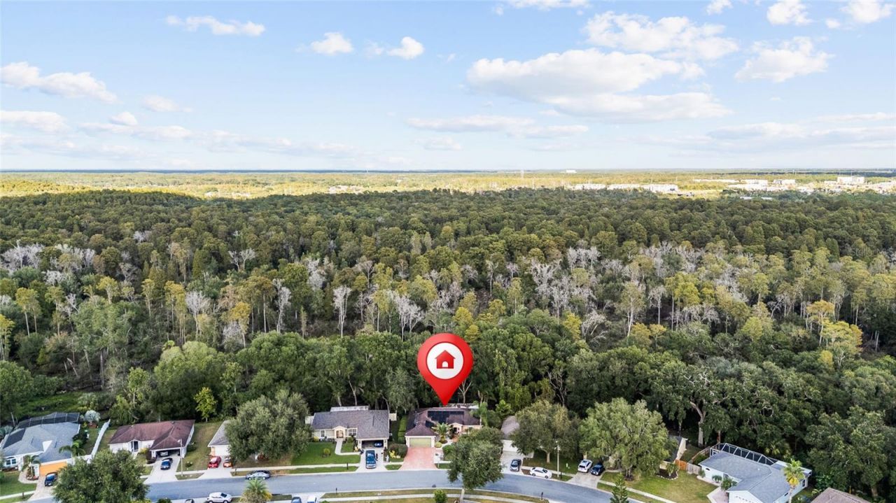 24437 Painter Drive, Land O Lakes, FL 34639 Photo