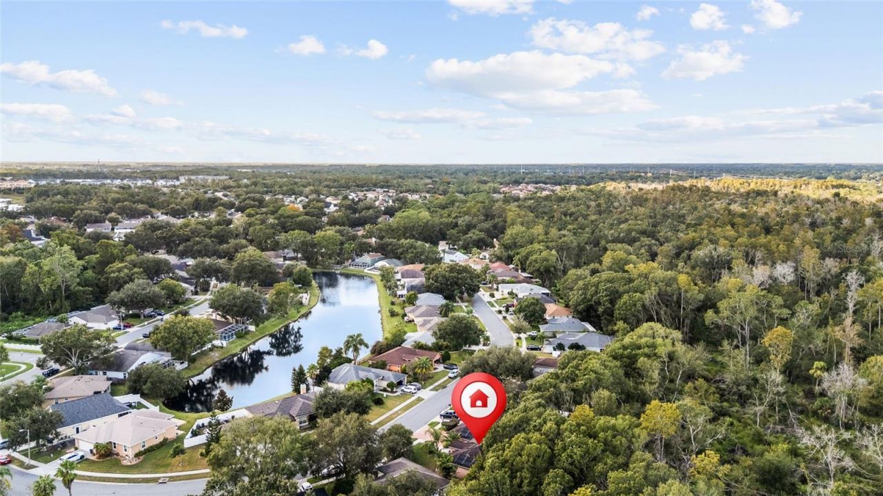 24437 Painter Drive, Land O Lakes, FL 34639 Photo