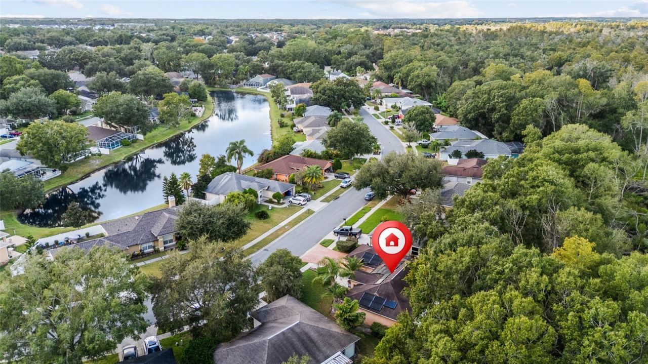 24437 Painter Drive, Land O Lakes, FL 34639 Photo