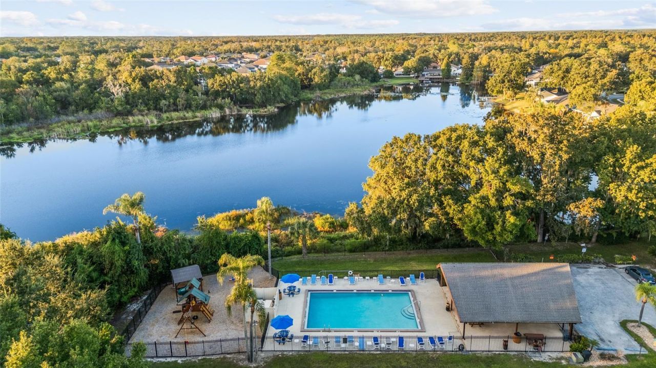 24437 Painter Drive, Land O Lakes, FL 34639 Photo