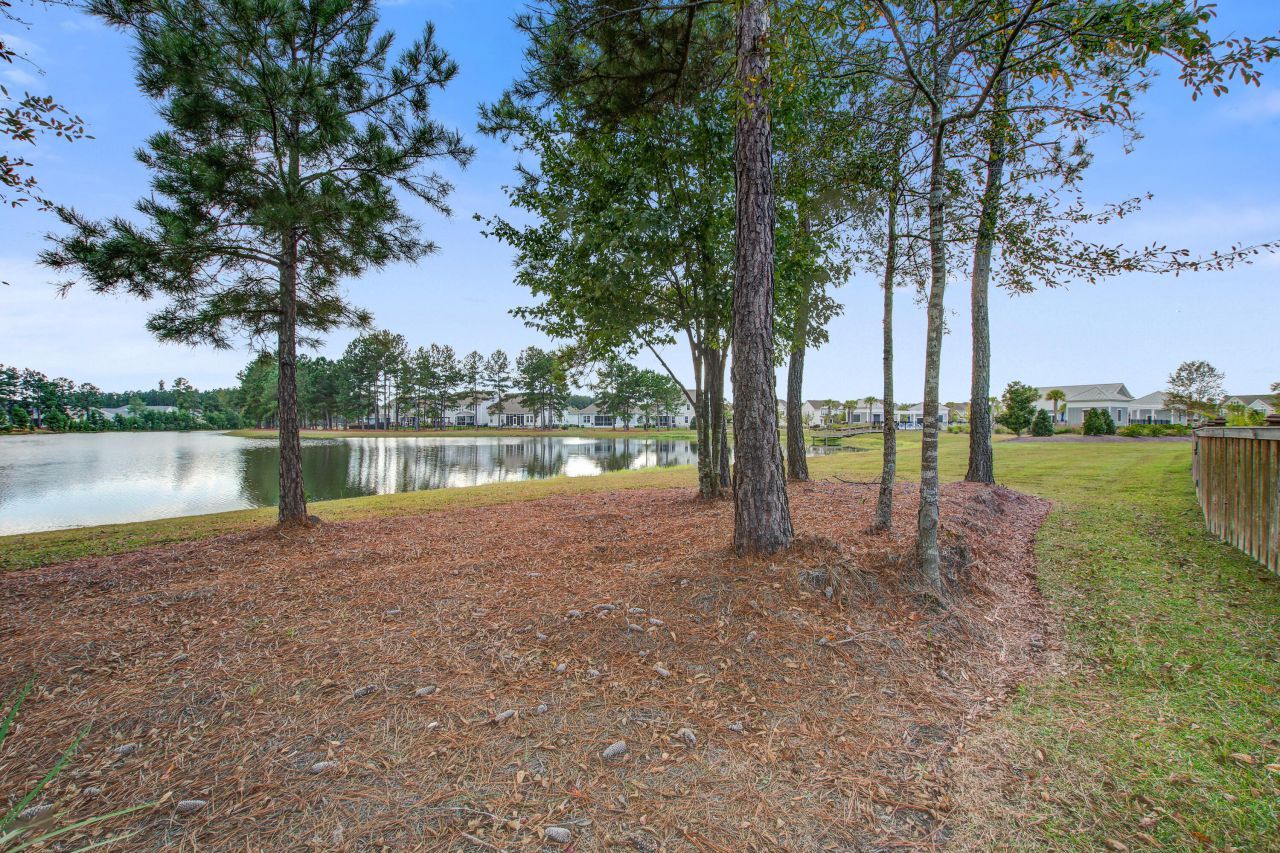 533 Fern Tree Drive Photo 34