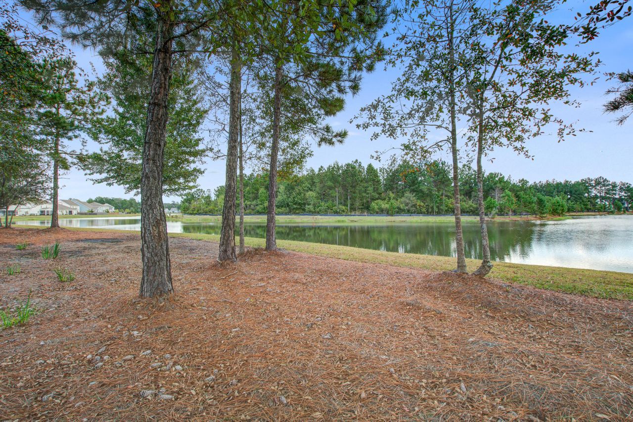 533 Fern Tree Drive Photo 35