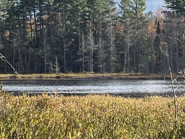 11974 Chesbrough Lake Road RD, Newberry, MI 49868