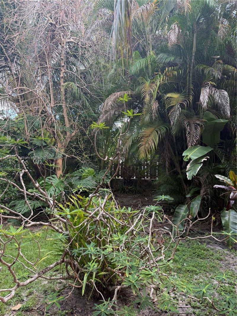 901 SW 19th Ave, Miami, FL 33135 Photo