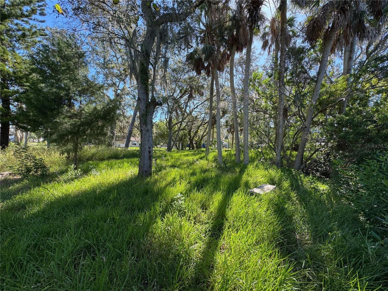 18905 Aripeka Road, Hudson, FL 34667 Photo