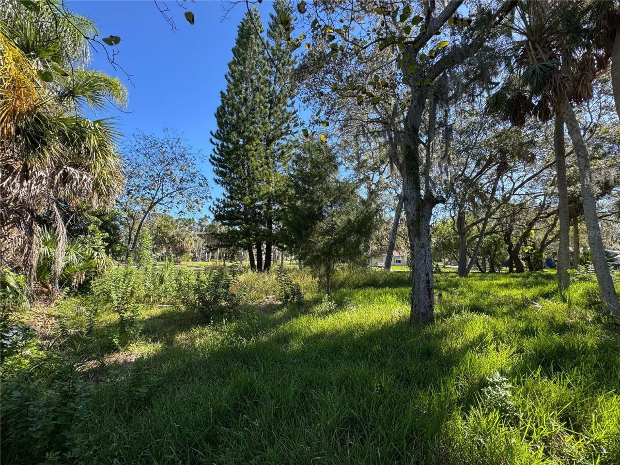 18905 Aripeka Road, Hudson, FL 34667 Photo