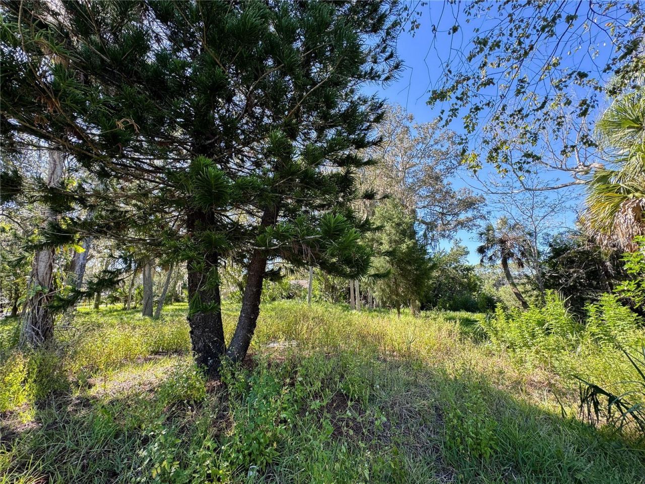18905 Aripeka Road, Hudson, FL 34667 Photo