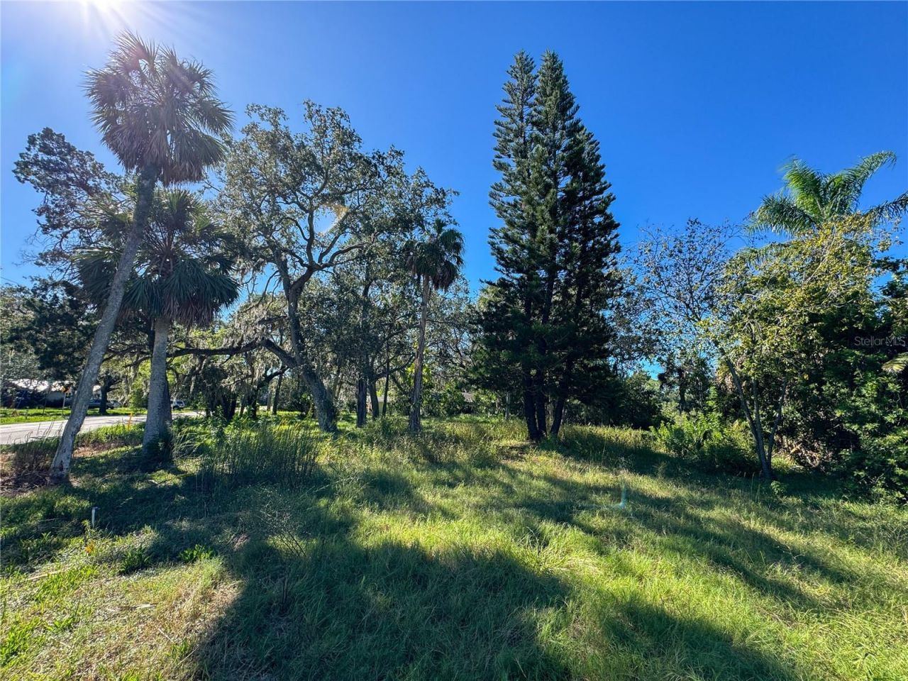 18905 Aripeka Road, Hudson, FL 34667 Photo