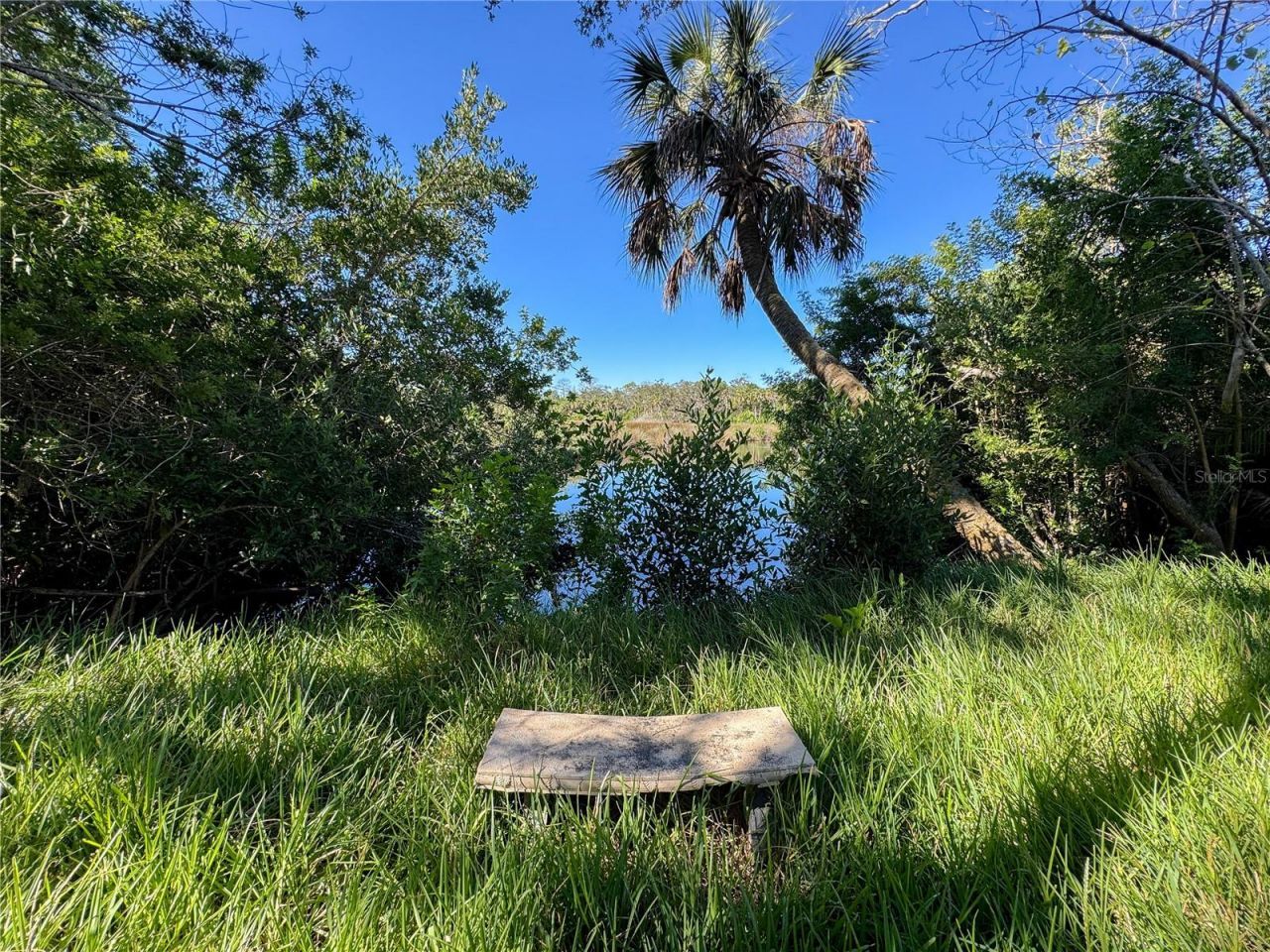 18905 Aripeka Road, Hudson, FL 34667 Photo