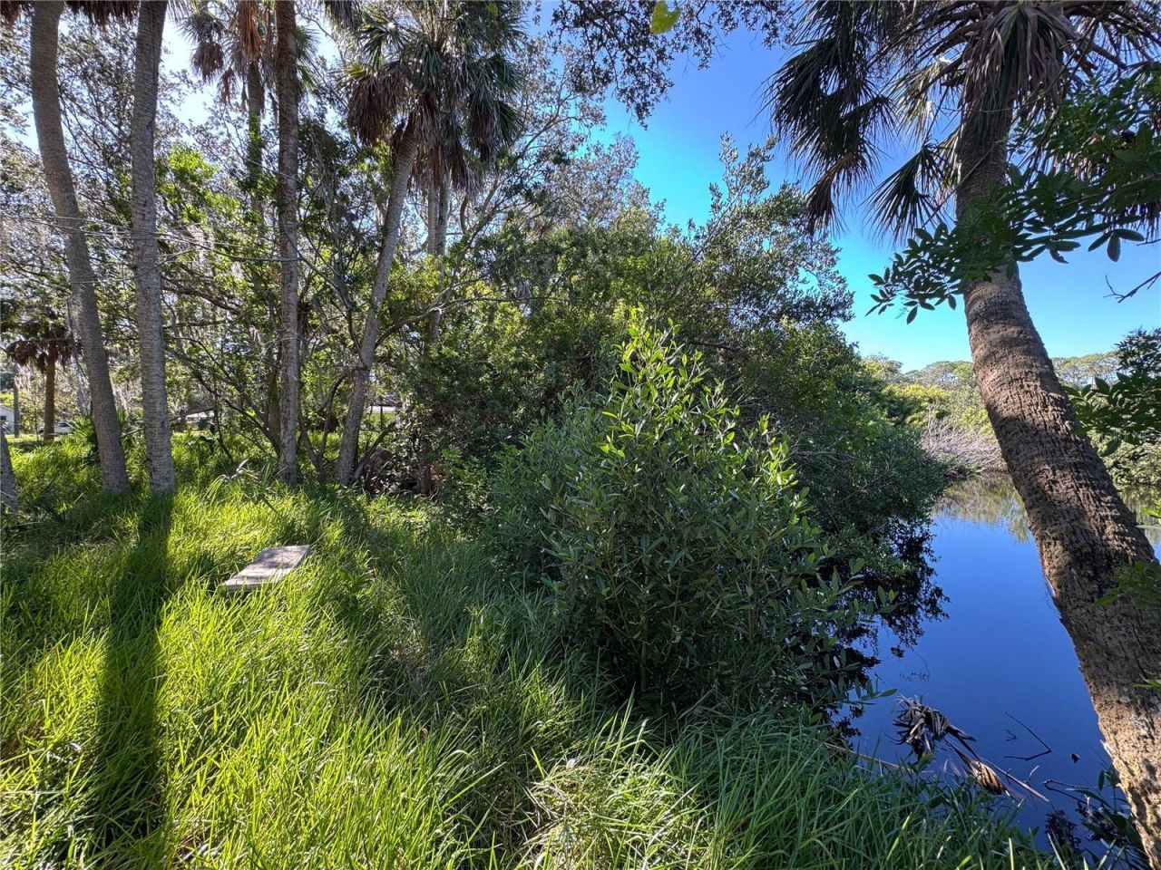 18905 Aripeka Road, Hudson, FL 34667 Photo