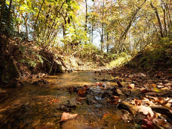 227 Mcallister Road, Copperhill, TN 37317