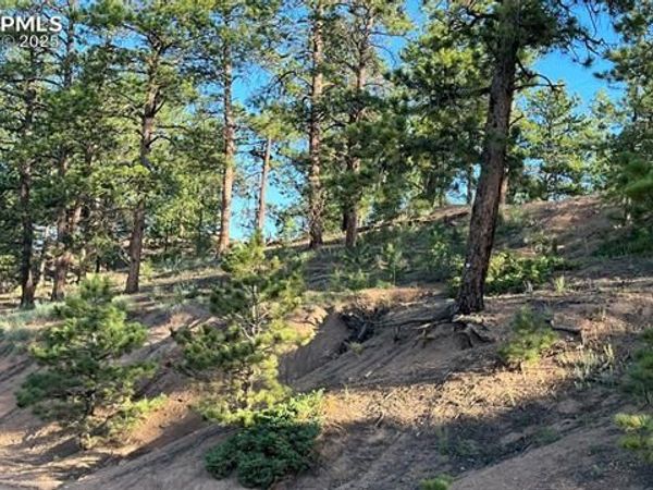 19 Ranch Road, Sedalia, CO 80135