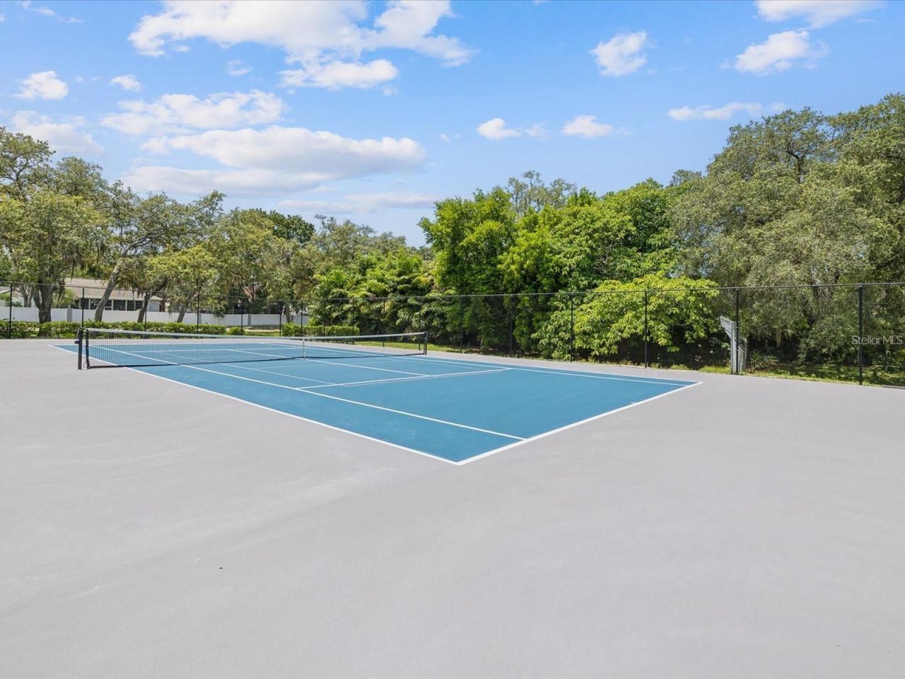 1424 Ridge Shore Drive, Tarpon Springs, FL 34689 Photo