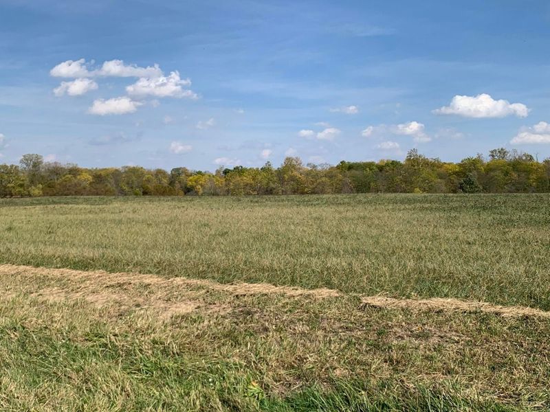 20453 Township Road 187, Mount Blanchard, OH 45867 Photo 95