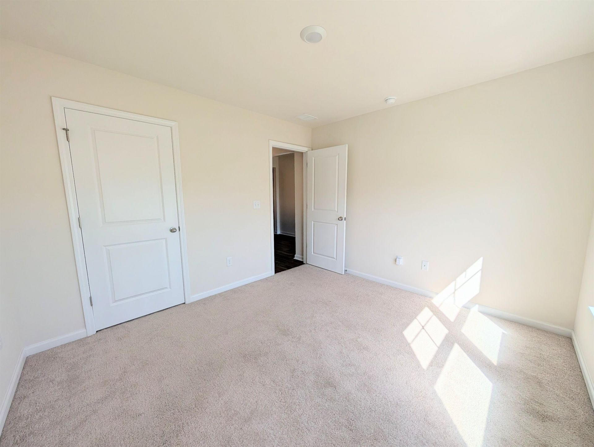 869 Twickenham Loop Photo 12