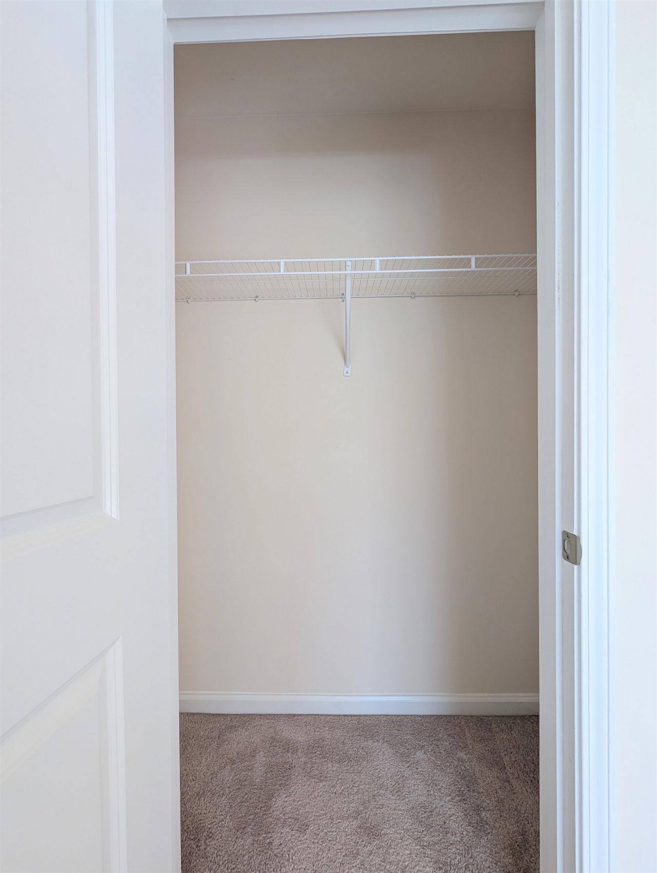 869 Twickenham Loop Photo 13