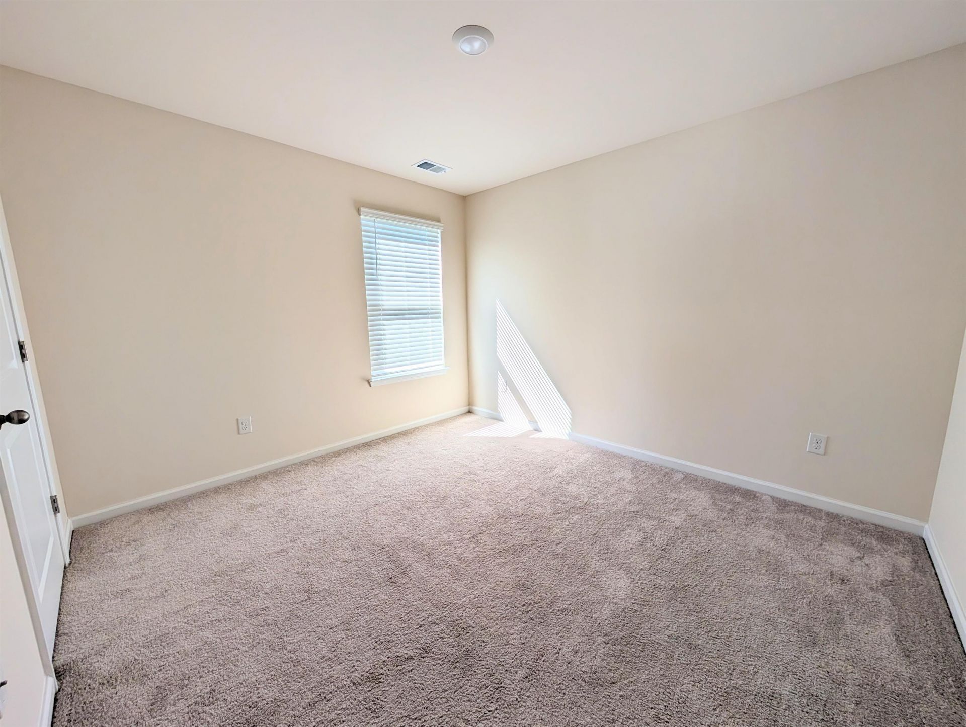 869 Twickenham Loop Photo 17