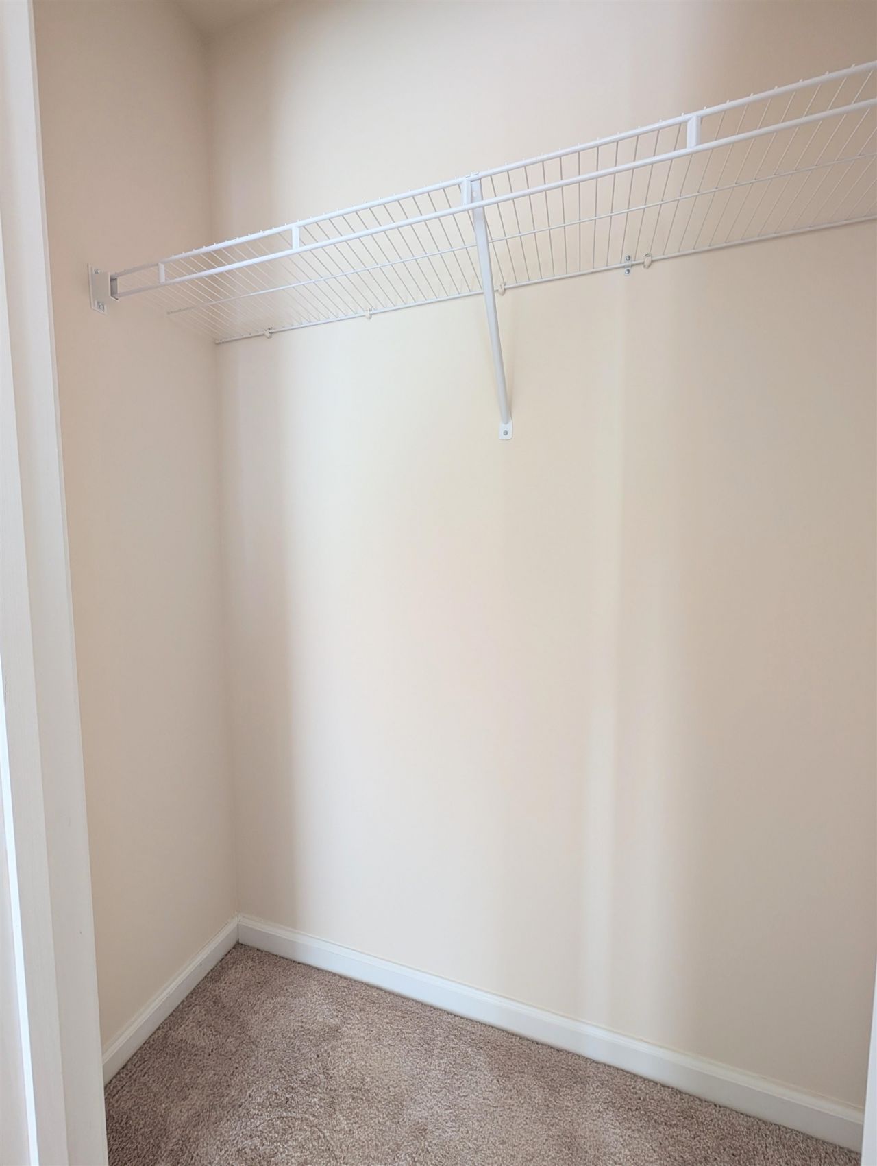 869 Twickenham Loop Photo 19