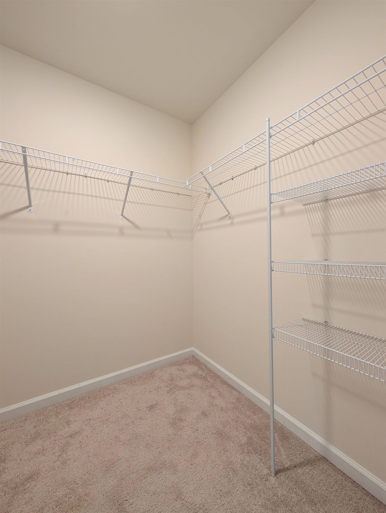 869 Twickenham Loop Photo 21