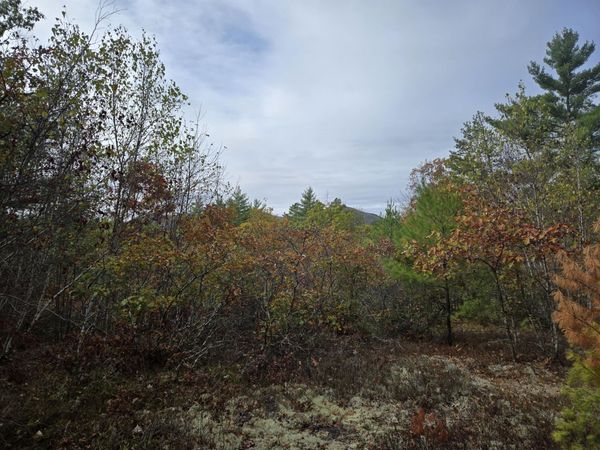 133 Plantation Lane, Brownfield, ME 04010