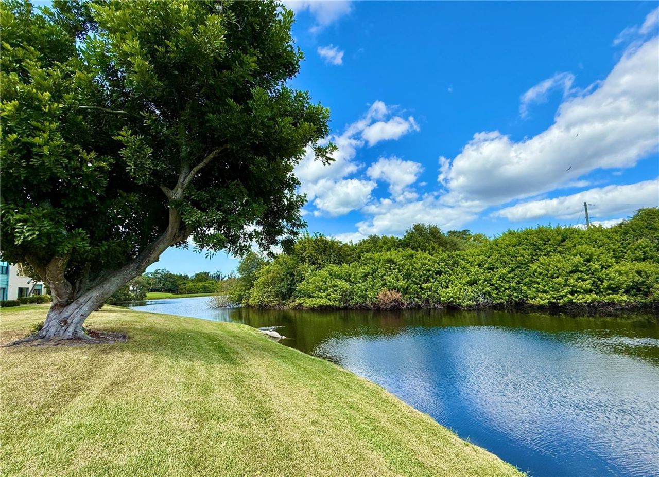 621 Spring Lakes Boulevard, Unit 621, Bradenton, FL 34210 Photo